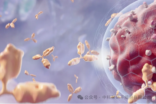 健康守護—有結節怎么辦？